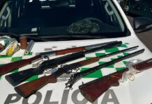 Operação contra caça e venda de animais silvestres prende suspeitos em Ibirá e Paraíso