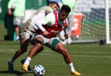 Palmeiras terá pelo menos duas mudanças em jogo da Libertadores