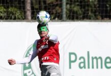 Com reforço de Gómez, Abel encerra preparação para enfrentar o Bahia