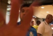 Palmeiras: Abel é punido pelo STJD por ter tomado o celular de jornalista