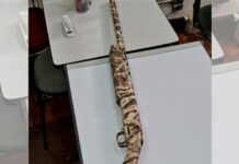 Caçador é confundido com animal e morre com tiro na cabeça em Mendonça