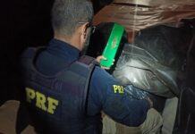 PRF apreende mais de três toneladas de maconha na BR-153 em São José do Rio Preto