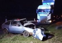 Idoso morre após batida entre carro e caminhão de bois na BR-153