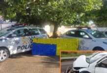 Polícia apreende quase meia tonelada de maconha após acidente em rodovia de Penápolis
