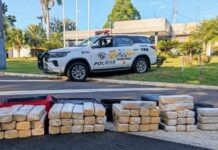 Polícia Rodoviária intercepta carregamento de maconha em rodovia de Araçatuba