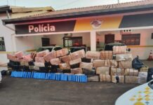 Polícia prende caminhoneiro com tabletes de maconha escondidos em carga de semente
