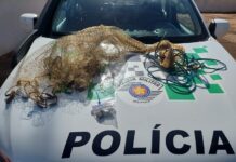 Polícia Ambiental detém homem por porte de maconha e pesca com tarrafa