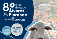 Álvares Florence faz leilão de gado em prol da Santa Casa