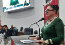 Contrato entre Prefeitura e empresa do marido pode custar cargo de Sueli Friósi