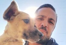 Chandelly Protetor pede ‘censo animal’ em Votuporanga