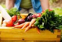 Rastreabilidade Vegetal: Secretaria reforça importância dos produtores se adequarem às normas vigente