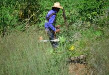 Prefeitura notifica proprietários para limpeza de terrenos em Votuporanga