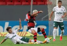 Palmeiras tenta evitar série negativa incomum no Brasileirão