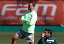 Palmeiras treina após eliminação e terá mudanças no time para o Brasileirão
