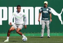 Abel estuda alternativas para possível ausência de Dudu no domingo