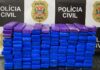 Polícia Civil apreende 75 kg de maconha na Rodovia Euclides da Cunha