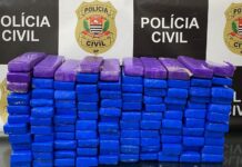 Polícia Civil apreende 75 kg de maconha na Rodovia Euclides da Cunha