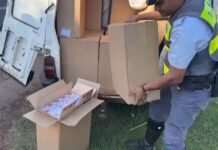 Dupla é presa com 7,5 mil maços de cigarros contrabandeados em rodovia de Pereira Barreto