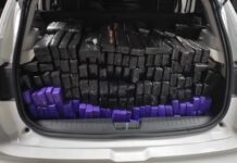 Polícia apreende quase 500 kg de maconha após perseguição em rodovias da região