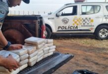 Mulher é presa com quase 30 kg de cocaína na Rodovia Euclides da Cunha