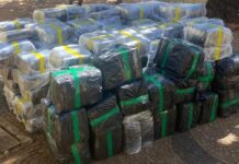 Apreensão de quase quatro toneladas de maconha em Nhandeara é a maior do ano na região de Rio Preto, diz PM