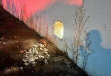 Ladrões fazem buraco em parede para invadir agência bancária em Braúna