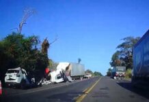 Caminhão bate de frente com carro e motorista morre em rodovia de José Bonifácio