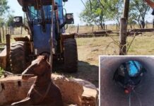 Bombeiros resgatam cavalo que caiu em poço