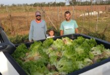 Santa Casa recebe verduras da Horta Nossa Senhora Aparecida