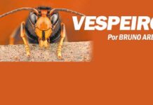 A concentração do poder na política. Votuporanga é democrática?