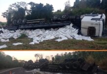 Caminhão carregado com açúcar tomba em rodovia de Novo Horizonte