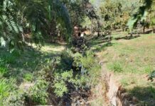 Valdecir Lio pede limpeza no Córrego do Curtume