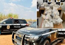 Grupo é preso após ser flagrado com cocaína escondida em canavial de fazenda