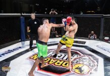 Dragon Fight coloca Votuporanga no circuito nacional dos grandes eventos