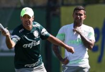 Abel prepara volta de titulares para jogo contra o Atlético-MG