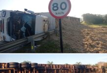 Caminhão atropela cavalo e tomba em rodovia de Palmares Paulista
