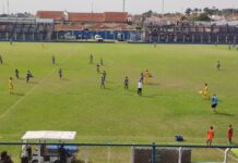 Cavinho tem vida dura em Monte Azul Paulista