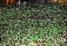 Palmeiras arrecada mais de R$ 60 milhões com bilheteria no ano