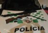 Homem é preso por porte ilegal de arma de fogo e autuado por caça