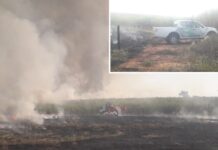 Polícia emite multa de R$ 114 mil por queimada em Turmalina