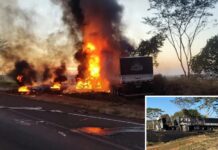 Caminhonete e carreta batem de frente e pegam fogo em rodovia da região; motorista morreu