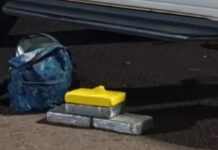 Mulher é presa com tijolos de cocaína em ônibus