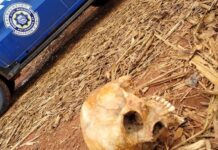 Crânio humano é encontrado por funcionários de usina em Potirendaba