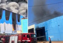 Incêndio atinge depósito de embalagens e mobiliza bombeiros em Rio Preto