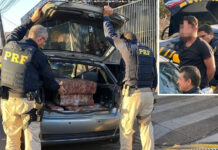 Motorista tenta fugir e é pego com carregamento de maconha em Rio Preto
