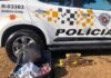 Adolescente é detido com nove tijolos de maconha em rodovia de Rio Preto