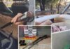 Homens são multados em mais de R$ 60 mil após serem flagrados com armas, munições e carne