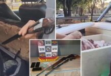 Homens são multados em mais de R$ 60 mil após serem flagrados com armas, munições e carne