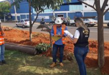 Força-tarefa do Crea-SP inicia fiscalizações a partir desta segunda-feira