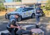 Polícia prende passageira de ônibus que transportava maconha na mala em rodovia de Araçatuba